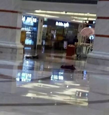 上海跳楼事件，20岁妙龄女子商场跳楼