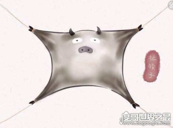 东北四大神兽和八大犊子，滚犊子是什么意思(滚远些/生气)