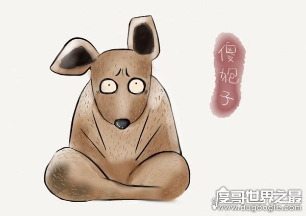东北四大神兽和八大犊子，滚犊子是什么意思(滚远些/生气)
