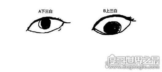 什么是三白眼,就是眼睛瞳仁很靠上或是很靠下(看起来眼白很多)