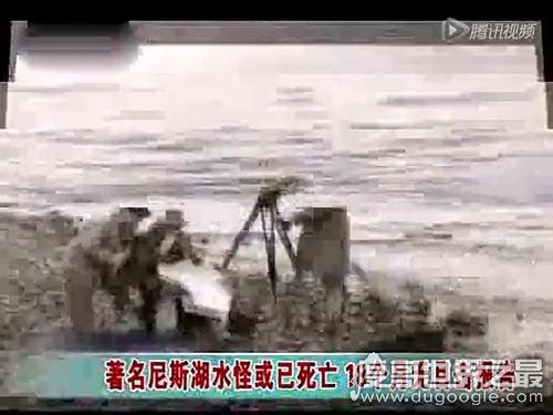 尼斯湖水怪真存在吗？传说是未灭绝的蛇颈龙(附相关照片)