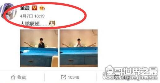 贾乃亮金晨疑似恋情曝光，金晨方否认恋情回应乃＂谣言＂