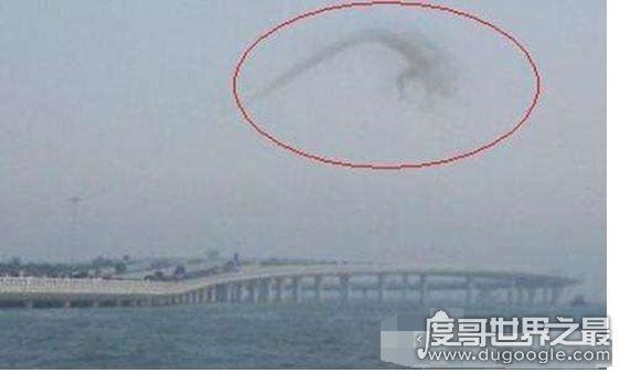 2016暴雨后出龙吃人，盘点真龙现身的几起事件