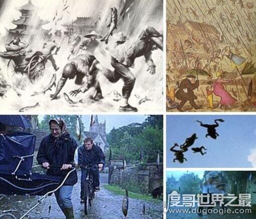 世界各地的空中降鱼事件,揭秘罕见下鱼现象原理