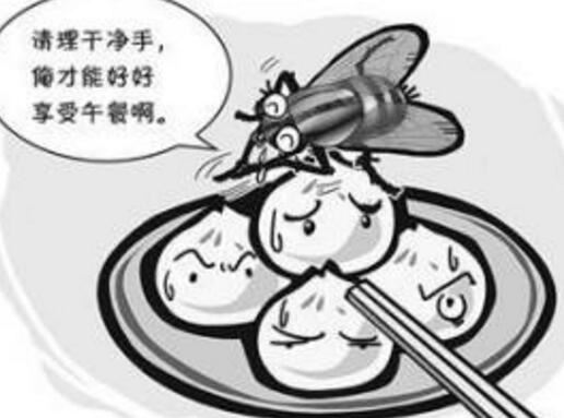 苍蝇停下来的时候总喜欢不停地搓手搓脚是在做什么，清理脏东西搞卫生