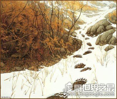 让人崩溃的视觉错觉图，有图有真相（胆小者勿入）