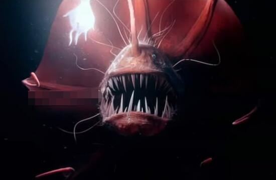 世界上最丑的鱼，深海琵琶鱼长的难看交配方式还恐怖