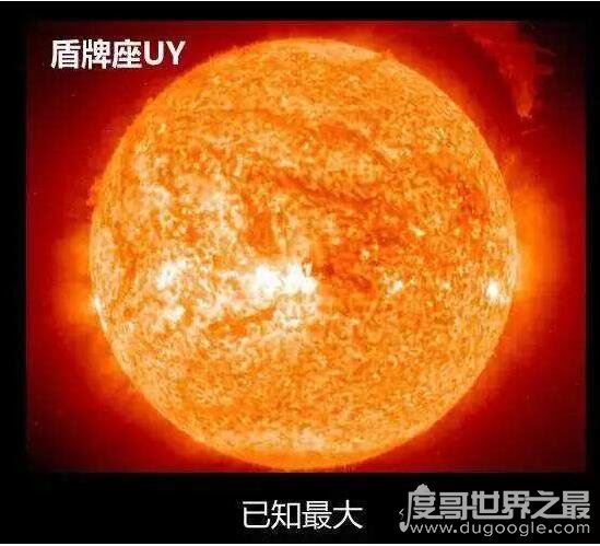 目前宇宙已知最大的星体,盾牌座UY(体积是太阳的50亿倍)