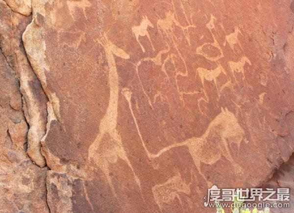 野外生存最强的土著民族：布须曼人，以擅长追踪猎物而闻名