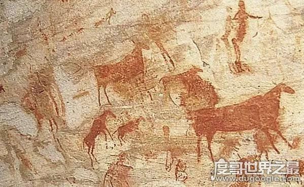 野外生存最强的土著民族:布须曼人,以擅长追踪猎物而闻名