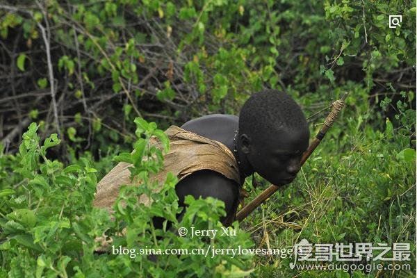 野外生存最强的土著民族:布须曼人,以擅长追踪猎物而闻名