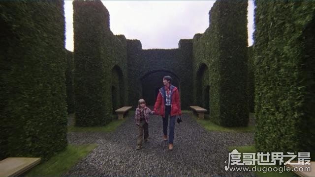 超恐怖电影闪灵解析，作家深陷幻境而逼疯(头号玩家致敬的电影)