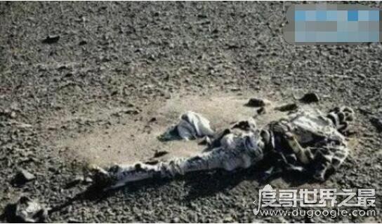 双鱼玉佩事件解密了,罗布泊病毒产生镜像丧尸导致被摧毁