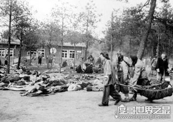 纳粹羞辱残杀妇女恐怖真实黑镜头，妇女儿童成为人体试验品