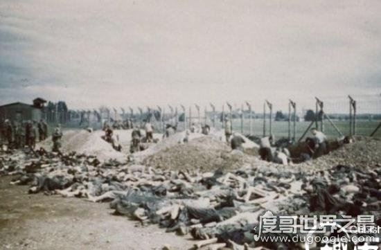 纳粹羞辱残杀妇女恐怖真实黑镜头，妇女儿童成为人体试验品