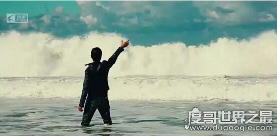 徐静蕾老公是李亚鹏,跨界歌王舞台公然献花重温将爱