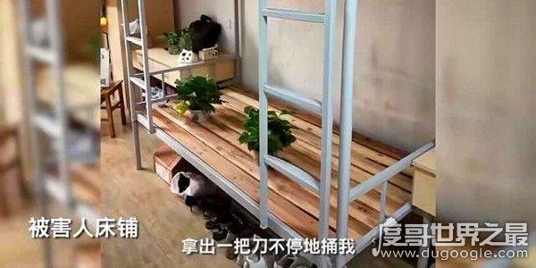 南京一女子被室友追求者捅刀，室友前往医院探望一次后失去联系