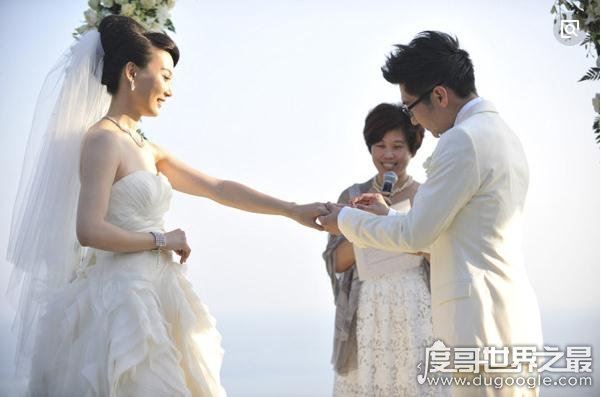 陈数赵胤胤个人资料介绍,陈数嫁给二婚赵胤胤甘当继母