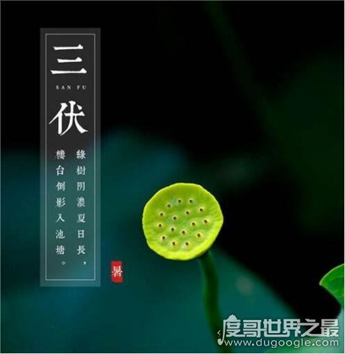 2019年三伏天从什么时候开始，7月12日至8月20日(共40天)