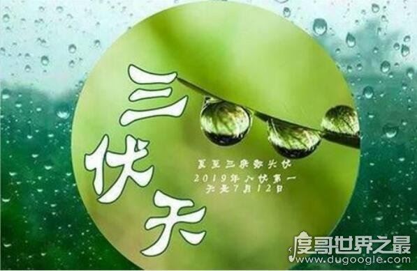 2019年三伏天从什么时候开始，7月12日至8月20日(共40天)