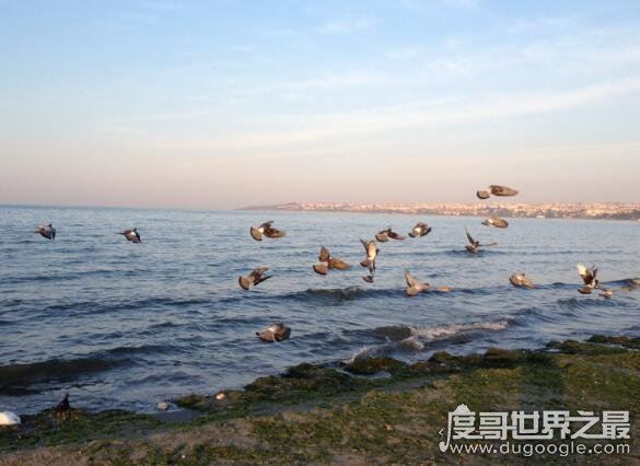 世界上最小的海，马尔马拉海(面积仅11350平方千米)