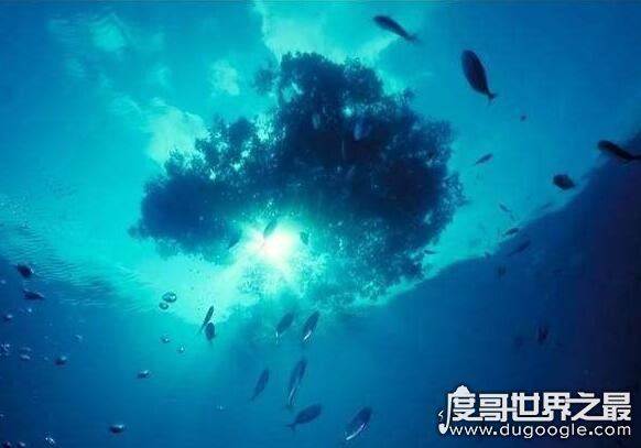 世界上最小的海，马尔马拉海(面积仅11350平方千米)