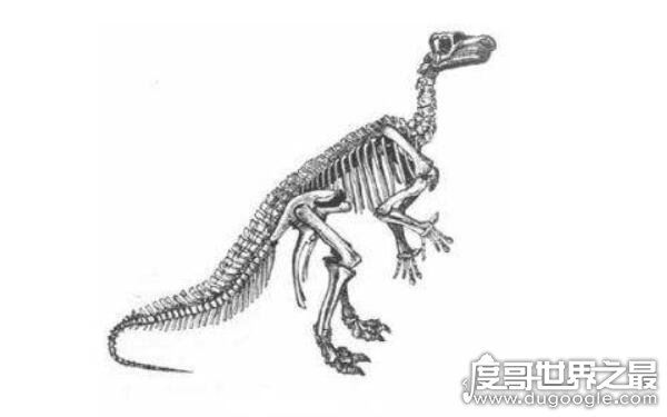 世界上第一个发现恐龙的人，醉心于化石研究（曼特尔）