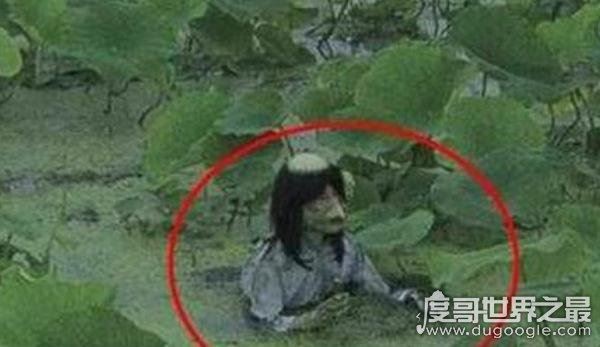 水猴子真的存在吗,就是民间传说中害人的“水鬼”(图片)