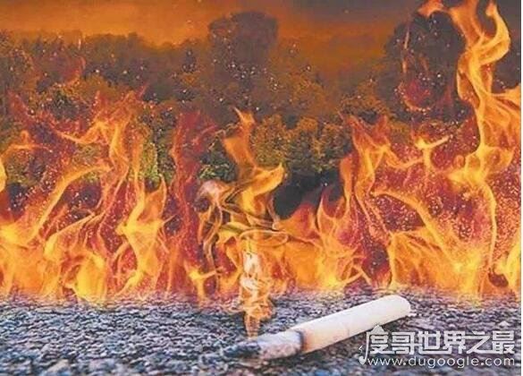 烟头中心温度可达多少度，700-800度(轻松点燃绝大多数物品)