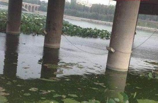 9·20河南挖眼抛尸案，九岁男童两眼球破裂塌陷