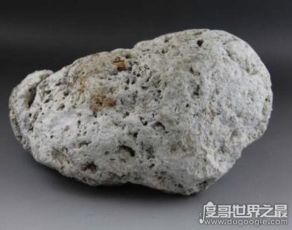 龙涎香是什么东西,是抹香鲸的便便(也是香精的重要组成部分)
