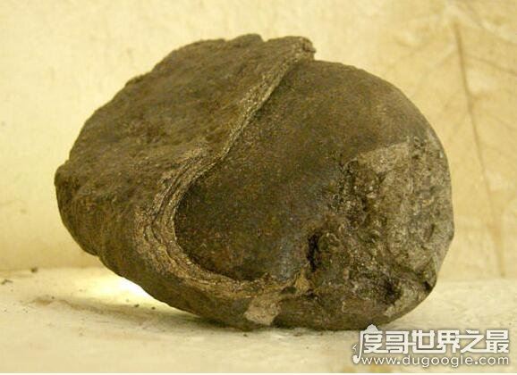 龙涎香是什么东西，是抹香鲸的便便(也是香精的重要组成部分)