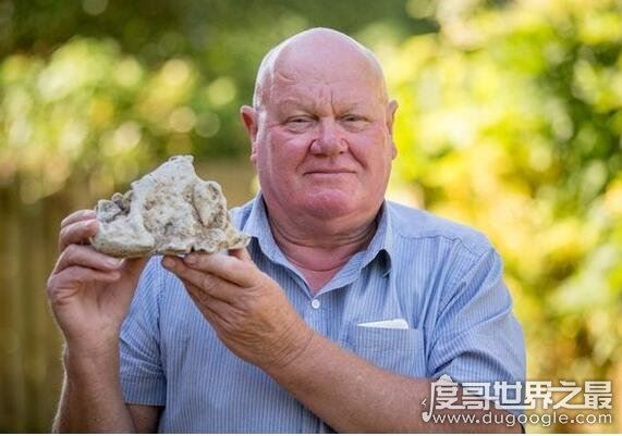 龙涎香是什么东西，是抹香鲸的便便(也是香精的重要组成部分)
