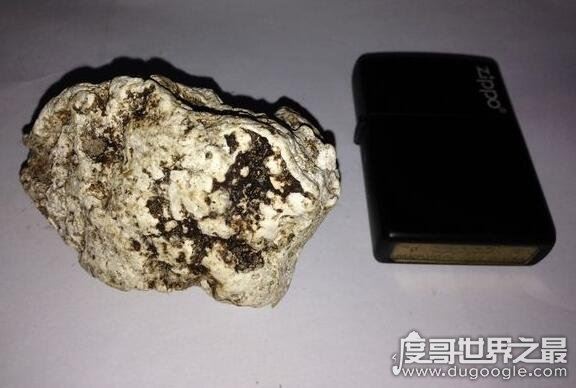 龙涎香是什么东西，是抹香鲸的便便(也是香精的重要组成部分)