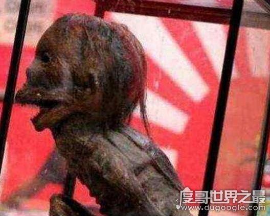 水猴子真的有吗?科学家承认水猴子存在(神秘面纱被揭开)