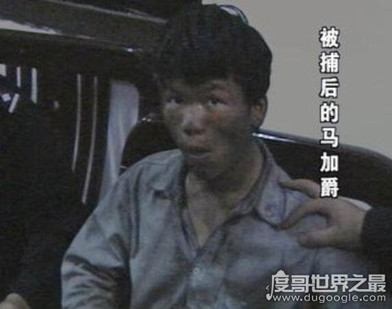 马加爵放过的唯一舍友林峰,只因偶然的一碗饭保住一条命