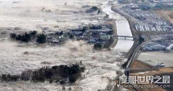 世界上最大的地震,智利大地震(最大震级达9.5级)