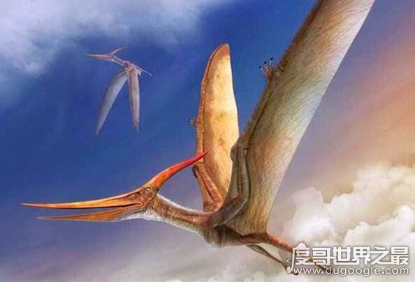 世界上最后一只龙,英国有人在天空拍到一条翼龙(附视频)