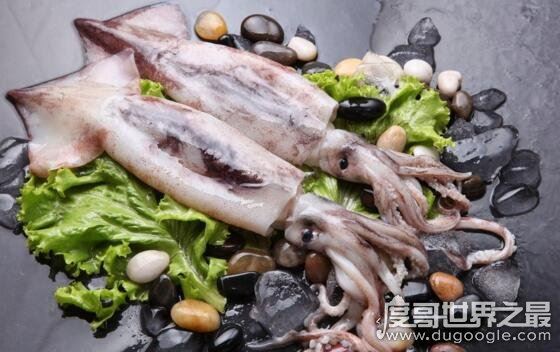 乌贼和章鱼的区别是什么，乌贼比章鱼好吃一百倍