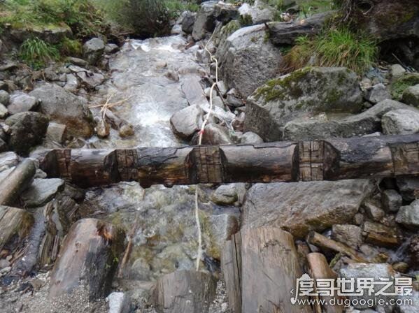 缅甸野人山坑杀10万国军，男女军人均遭野人强暴