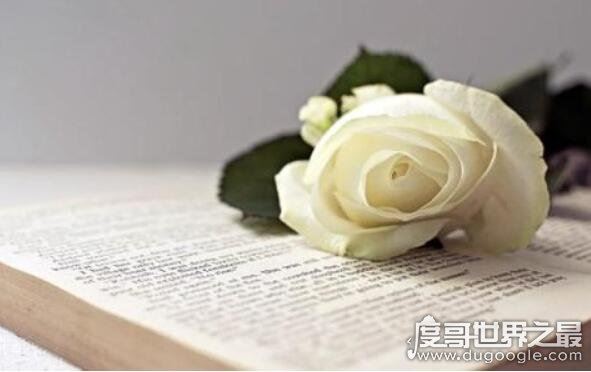 极品男人的十大主要特征，每一项都深受女性喜爱