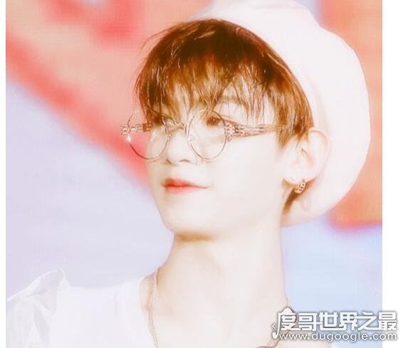 爱豆是什么意思,是英文词idol的音译(偶像的意思)