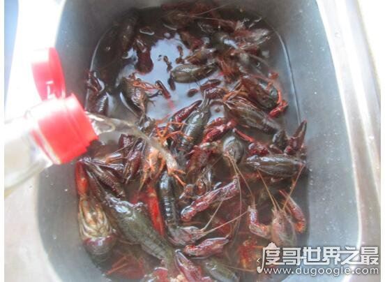 小龙虾怎么清洗，教你几招怎样轻松洗干净小龙虾
