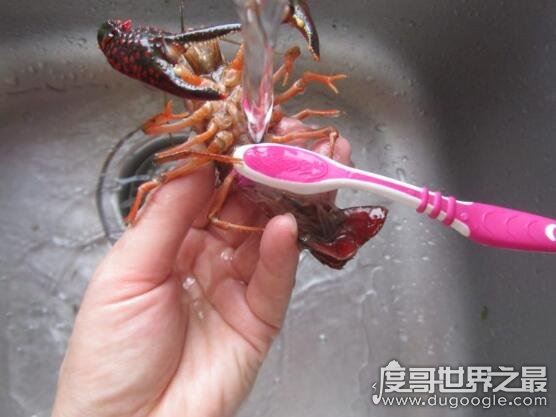 小龙虾怎么清洗,教你几招怎样轻松洗干净小龙虾