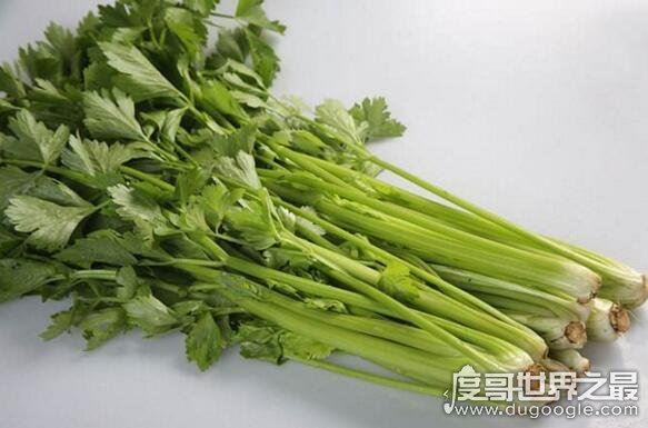公认的六种超级降压食物,多吃芹菜/香菇对降压有帮助
