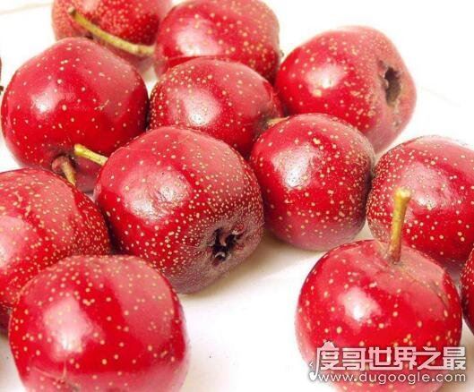 公认的六种超级降压食物，多吃芹菜/香菇对降压有帮助