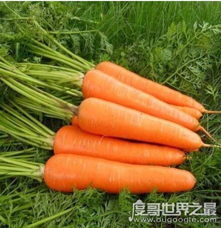 公认的六种超级降压食物，多吃芹菜/香菇对降压有帮助