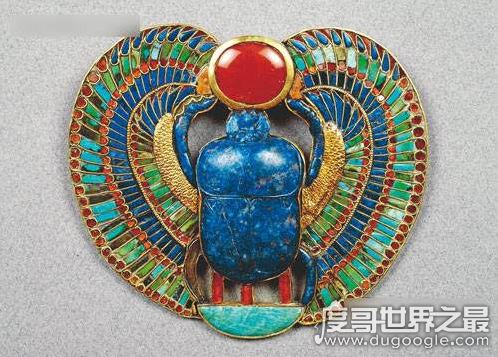 埃及食肉甲虫原来是它,其实埃及圣甲虫根本就不吃人