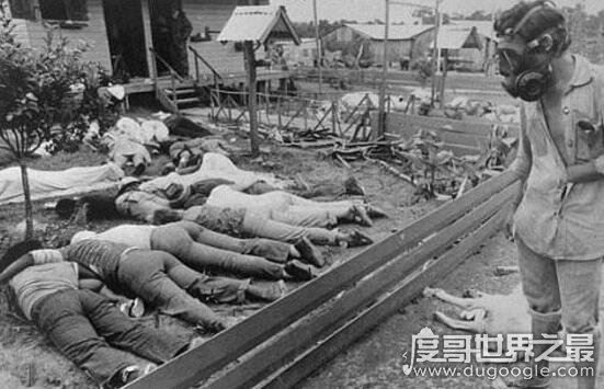 琼斯镇惨案是阴谋，受邪教蛊惑致使集体自杀