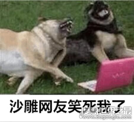 沙雕是什么意思?网络用语骂人的话(沙雕=傻屌)
